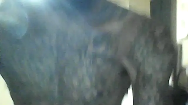 BigDickDaddy7414 online show from June 15, 4:37 am