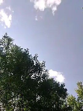 QcMisterv13 online show from July 5, 1:51 pm