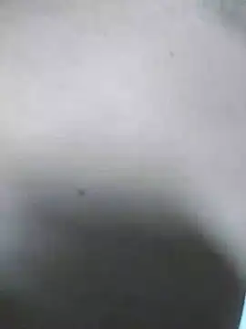 QcMisterv13 online show from July 31, 10:15 am