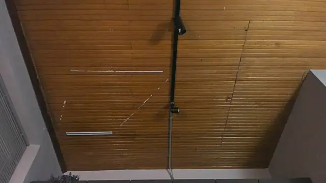 Andy Joy  online show from March 6, 12:13 pm