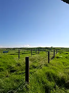 bull Giant online show from February 22, 2:59 pm