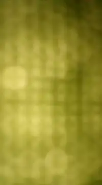 Sexybeer2005 online show from December 7, 10:06 pm