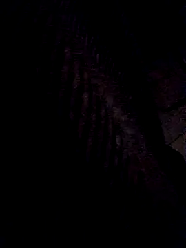 3anntel online show from November 25, 10:45 pm