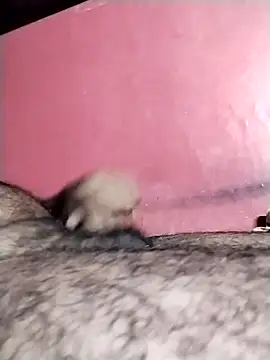 rajshank online show from April 7, 7:14 pm