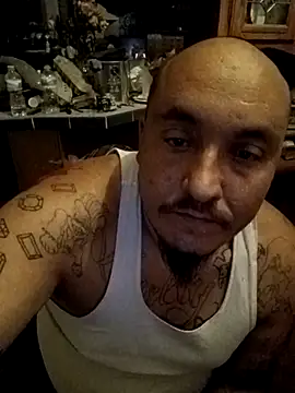 wilsons12 online show from November 29, 8:38 am