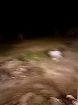 Jackson1964xh online show from March 22, 9:47 am