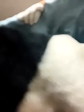 huzi518 online show from February 5, 10:55 pm