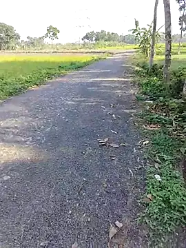 dick 01728 online show from April 11, 9:57 am