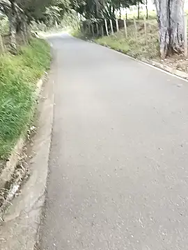 C vas  online show from December 9, 11:47 am