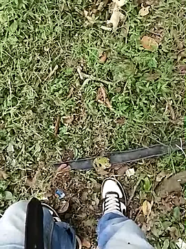 C vas  online show from March 3, 9:34 pm