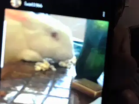 ChunkyMonkey007 online show from December 3, 5:12 pm