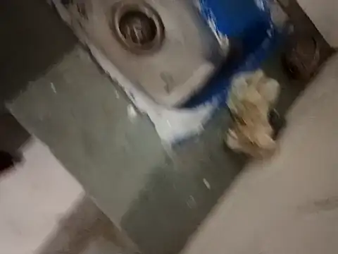 pintuS40 online show from December 25, 2:23 pm