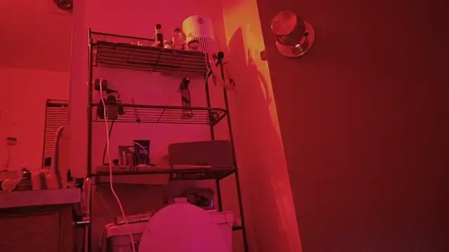 SlammyDjr online show from March 3, 11:28 am