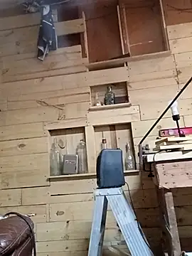 Buffshagswell online show from November 21, 3:00 pm