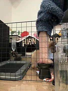 kensnb online show from March 11, 9:11 pm