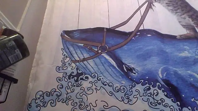 clitstitsandbongrips online show from September 16, 6:03 am