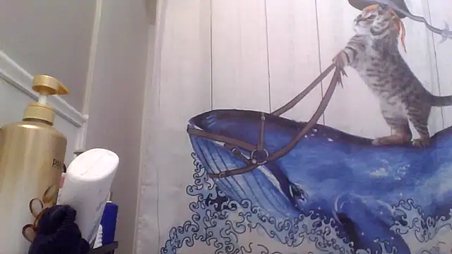 clitstitsandbongrips online show from November 25, 3:19 am