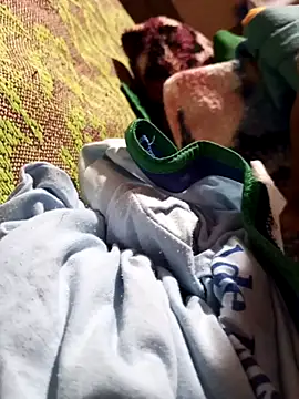 paugrande453 online show from October 22, 5:16 pm