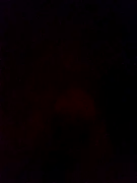 Ozomitro online show from December 5, 5:18 pm