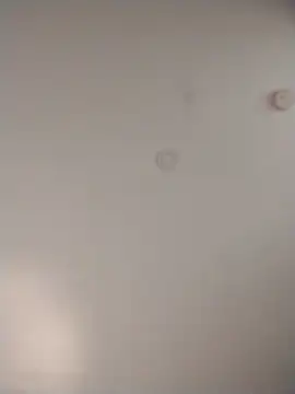 geilerschwanz64 online show from December 20, 5:14 am