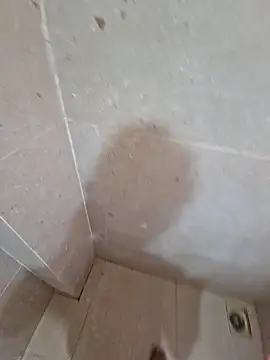 vivanpraj999 online show from November 25, 4:25 am