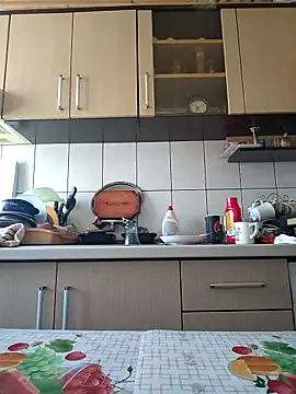 vulpe8400 online show from February 25, 8:36 am