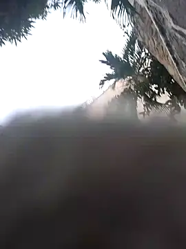 elcobin online show from March 18, 10:48 pm