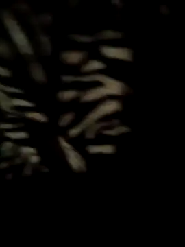 7inchwala8797 online show from November 4, 1:34 pm