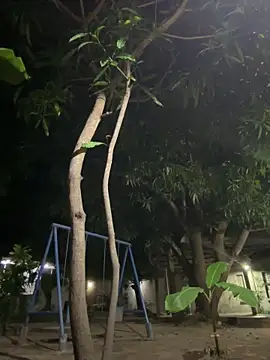 Erick-90 online show from October 18, 9:25 am