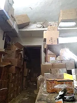 nupa230780 online show from December 16, 12:34 pm