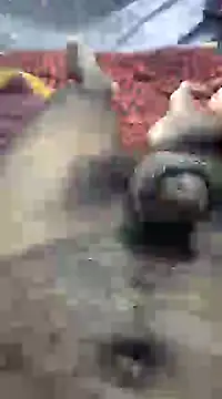 mallucallboy2104 online show from January 6, 9:32 pm