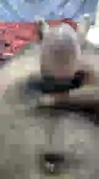 mallucallboy2104 online show from December 10, 10:06 am