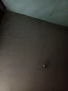 frank32love online show from April 22, 9:36 am