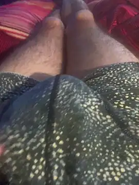 solomec online show from December 20, 7:37 am