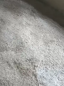 SisterlyFarmhand online show from October 12, 10:53 am