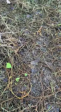 Snapshot of tamil000000 chatting on March 16, 1:38 am tamil000000 online show from March 16, 1:38 am