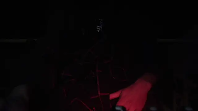 Snapshot of contemptumundi888 chatting on February 4, 8:49 pm contemptumundi888 online show from February 4, 8:49 pm