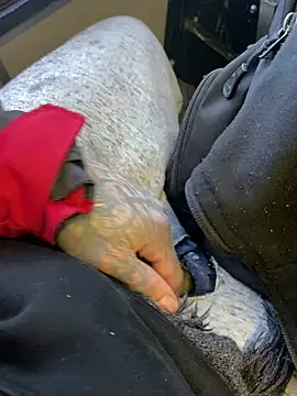 Fuckboy4public online show from December 29, 4:08 pm