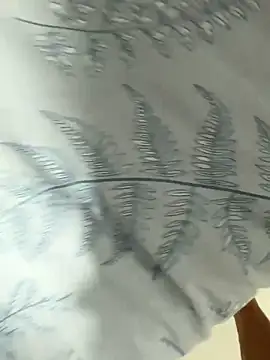 Pollitotex22cm online show from February 13, 6:46 pm