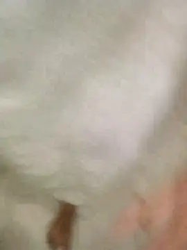 Bombi22 online show from December 30, 8:15 pm