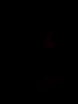 andreiwhite2  online show from October 2, 11:42 pm