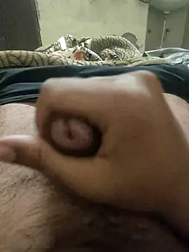 chinchi online show from November 11, 5:51 pm