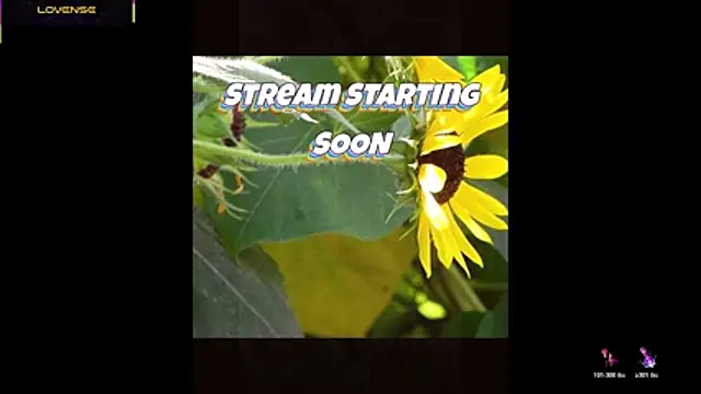 Hackensackneil online show from June 3, 12:29 pm
