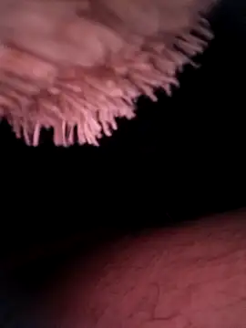 cusicat online show from November 29, 2:02 am