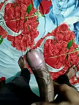 Kingxey online show from January 5, 11:37 am