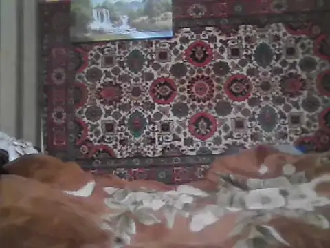 AlferezzSolvajo online show from February 8, 10:51 pm