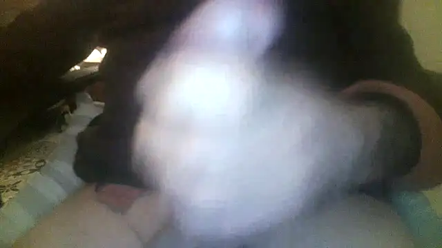 Patrickhound online show from November 19, 3:39 am