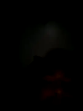 ikkyh2rj online show from November 3, 6:50 am