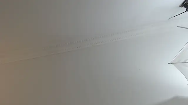 BrandonColee online show from February 10, 12:29 pm