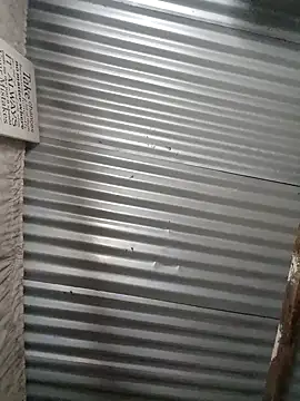 Velvet69 online show from September 29, 11:11 pm